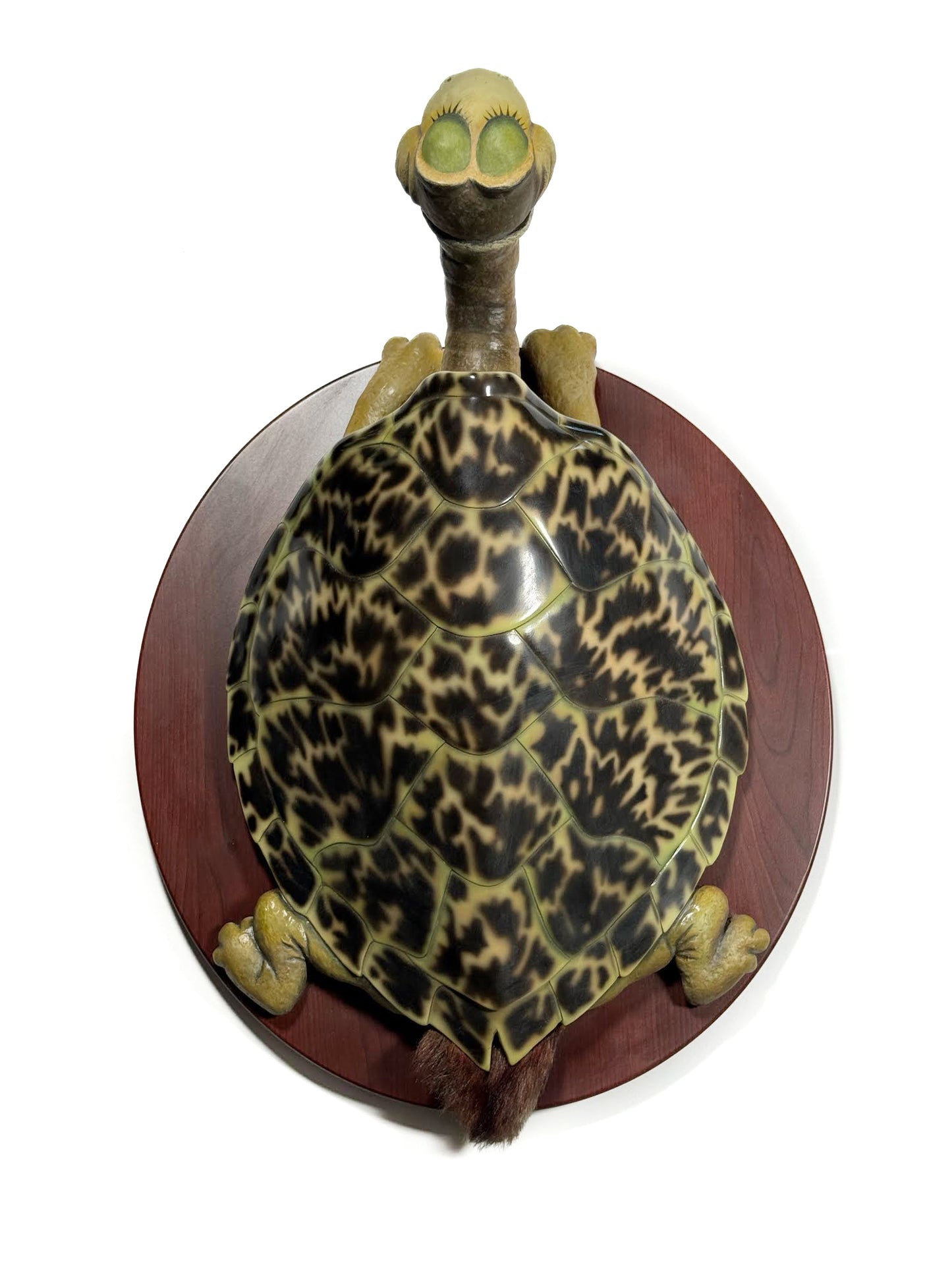 Dr. Seuss - "Turtle Necked Sea Turtle"